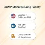 Sandhu's Elderberry Vitamin C Vitamin D3 Goldenseal with Zinc & Quercetin | Capsules for Men & Women | Supports Immune Health | 120 Count (Pack of 1)