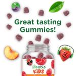 Lifeable Zinc for Kids | 25mg | Great Tasting Natural Flavored Zinc Gummies | Gluten Free Vegetarian Non GMO Zinc Supplements | Kids Zinc for Immune Support | 90 Gummies