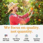 Vitalitown Vitamin C Complex 1000mg with Rose HIPS, Bioflavonoids, Turmeric & Echinacea, Daily Immune Support, Collagen Booster & Powerful Antioxidant, Vegan, 90 Tablets