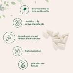 Micro Ingredients Pure Methylated Multivitamin, 240 Capsules | 19-in-1 Formula with Vitamins C, D, B12, Folate, Magnesium, Zinc & More | Supports Daily Wellness & Immune Health | Filler Free, Non-GMO