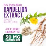 Milk Thistle Extract - Liver Cleanse Detox & Repair Formula with Dandelion Extract 1000mg - Herbal Liver Supplement - Nature's Milk Thistle w/Silymarin Marianum, Supports Liver Health - 60 Capsules