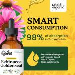 Wild & Organic Echinacea Goldenseal Tincture - Immune Support Drops with Echinacea and Goldenseal Root Extract - Vegan, Sugar & Alcohol-Free Liquid Supplement - 4 fl oz