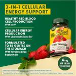 MegaFood Iron Energy Gummies, Iron Supplement for Women, Men, Teens & Kids with Vitamin B12 & B6, Vitamins, from The Makers of Blood Builder Supplement, Strawberry Flavor, 60 Count
