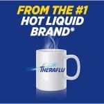 Theraflu Severe Cold Relief Hot Liquid Powder Combo: 12ct Daytime/Nighttime Honey Lemon Flavor + 6ct Daytime Honey Ginger Flavor