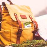 Boiron Acidil On The Go