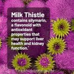 NatureWise Milk Thistle with Dandelion Root - Silymarin - Antioxidant Liver & Kidney Health Support Supplement - Vegan, Non-GMO, Gluten Free - 60 Count[60-Day Supply]