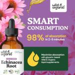 Wild & Organic Echinacea Drops - Immune Support Supplement with Echinacea Angustifolia - Liquid Root Extract Tincture - Vegan, Sugar & Alcohol-Free - 4 fl oz