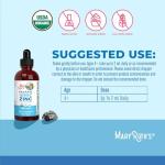 MaryRuth Organics Zinc Supplement for Immune Support, Immune Support Supplement for Kids, Ages 4-13, Zinc Sulfate, Vegan, USDA Organic, Glycerin Based, 2 Fl Oz