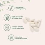 Liposomal Vitamin C 2,500mg, 240 Veggie Capsules | Highly Bioavailable Fat Soluble Form | Immune Support & Antioxidant Supplement | Liposomal Delivery for Superior Absorption | Non-GMO, Gluten Free