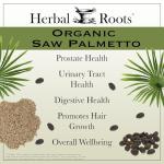 Herbal Roots Organic Saw Palmetto Capsules | 1,000mg per Serving | 60 Organic Vegan Capsules