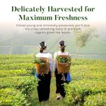 Uncle Lee's Organic Matcha Green Tea Bags, 40 Count – Antioxidant-Rich, Low Caffeine, Naturally Energizing Blend