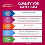 Vitamin B-Complex Gummies for Women & Men - Vitamin B12, B1, B2, B3, B5, B6, B7 & B9 - B Complex with Vitamin C & Choline - Energy, Brain & Mood - Natural Berry Flavor, Vegan - 60 Gummies for 2 Months