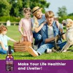 Milk Thistle Supplement for Liver Cleanse Detox & Repair, Liver Detox Drops with Organic Milk Thistle Seed, Artichoke Extract, Dandelion, Turmeric and Vegan, Non-GMO, Gluten-Free (2 Pack, 1 Fl Oz)