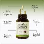 Herbal Roots Milk Thistle Capsules | Extra Strength 80% Silymarin Herbal Supplement | Made with Pure Organic Milk Thistle | Vegan and GMO Free