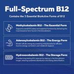 BioActive Vitamin B Complex - Blood Stream Ready, Methylated B Complex - Featuring Methylfolate, 3 BioActive Forms of B12, BenfoPure® B1 & Pantesin® B5 - 12 B Vitamins in Clinical Doses - 60 Servings