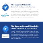 BioActive Vitamin B Complex - Blood Stream Ready, Methylated B Complex - Featuring Methylfolate, 3 BioActive Forms of B12, BenfoPure® B1 & Pantesin® B5 - 12 B Vitamins in Clinical Doses - 60 Servings