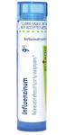 Boiron Influenzinum 9C for After Effects of Flu or Flu-Like Symptoms - 80 Pellets