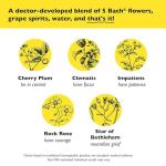 Rescue Remedy Dropper, 10mL - Natural Homeopathic Stress Relief