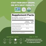 FGO Organic Japanese Matcha + Green Tea, 100 Count, Eco-Conscious Tea Bags, Resealable Bag, Packaging May Vary (Pack of 1)