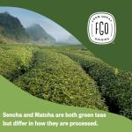FGO Organic Japanese Matcha + Green Tea, 100 Count, Eco-Conscious Tea Bags, Resealable Bag, Packaging May Vary (Pack of 1)