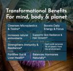 Modern Antidote Microplastic Detox - Sulforaphane, Milk Thistle & NAC Daily Drink Mix for Detoxing, Skin Aging Support, Brain Fog, Liver Support, Energy & Focus - 1 Tbsp/Serving - 28 Servings