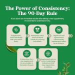 Extra Strength Saw Palmetto Extract - Advanced Herbal Complex for Hair Health and Urinary Support with Plant Sterols & Flavonoids - Potent Herbal Supplement with 500mg per Serving - 30 Capsules