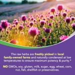 Surebounty 4-in-1 Milk Thistle Complex, 9000 mg Strength, 30X Concentrated Seed Extract, with Dandelion, Choline, Zinc, Fatty Liver Supplements, Liver Support, Non-GMO, 90 Veggie Caps, 3 Month Supply