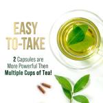 Green Tea Extract Capsules 1000mg 98% Standardized EGCG - 3X Strength for Natural Energy - Heart Support with Polyphenols - Gentle Caffeine - 240 Capsules