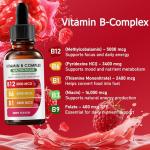 PlocoXe Vitamin B Complex | B12 B6 B1 B3 B9, Essential Vitamin Liquid Drops for Immune & Energy Metabolism, Brain & Heart Support, Raspberry Flavor 2fl oz