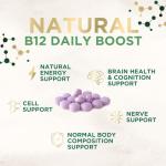 Vitamin B12 (Methylcobalamin) 1000 mcg - Chewable Tablet for Energy, Nervous System & Brain Support - Maximum Strength, Fast Dissolve, Vegan, Gluten-Free, Non-GMO for Women & Men - 60 Tablets