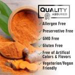 Turmeric Curcumin Supplement with BioPerine 95% Curcuminoids 2600mg with Black Pepper for Best Absorption, Bottled in USA, Best Natural Vegan Joint Support, Nature's Non-GMO Tumeric - 240 Capsules