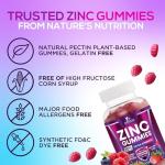 Zinc Gummies 50mg - Bone Skin & Immune Support Health Gummy & Premium Antioxidant Chewable for Adults - High Absorption Vegan, Gluten Free Zinc Supplements Vitamin - Tasty Berry Flavor - 60 Gummies