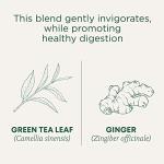 Traditional Medicinals Tea, Organic Green Tea Ginger, Promotes Healthy Digestion, 16 Tea Bags