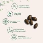 Micro Ingredients Milk Thistle Supplement 6,000mg | 360 Softgels with Grape Seed Oil | Highly Bioavailable Extract | Liver Support & Detox | Contains Active Silymarin + Antioxidants