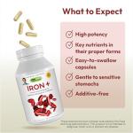 ANDREW LESSMAN Iron Plus 90 Capsules - 18mg Iron, 100% Pure Amino Acid Chelated Iron (Glycinate, Aspartate), Plus Vitamin C for Increased Absorption, Small, Easy to Swallow Capsules, No Additives