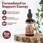 Active Ginseng Korean Red Panax Ginseng with Natural Ginsenosides - All-Natural Advanced Liquid Solution for 2X Absorption - Supports Healthy Energy, Vitality, Mood and More