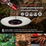 BTGIN Korean Red Ginseng Extract 3000mg Everyday, Saponin Hanppuri, Immune Booster and Focus Supplement for Brain Enhancement with Ginsenoside Rg3, Panax Ginseng 6 Years Root, 30Packets in 1 Set