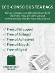 TeeLux Green Tea Bags, Natural Pure Green Tea, Super Antioxidant, Caffeinated, 100 Count Tea Bags to Support Overall Health