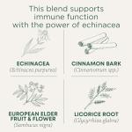 Traditional Medicinals Tea, Organic Immune Zoom Elderberry Echinacea, Supports Immune Function, 16 Tea Bags