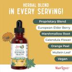 MaryRuth Organics USDA Organic Respiratory Health Liquid Drops with Mullein Leaf | Marshmallow Root & Elderberry | Mullein Drops for Lungs Herbal Blend | Immune Support Supplement | Vegan | 1 Fl Oz