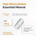 Zinc Supplements for Men and Women | Zinc 50mg with Black Currant 120 Vegetarian Capsules | Highly Absorbable Form for Immune Support | Zink 50 mg Supplement Promotes Skin Health