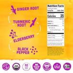 Vive Organic Elderberry Immunity Boost Wellness Shot, 2 fz