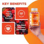Vitamatic Zinc 50mg Gummies – 60 Vegan Gummies – Gluten-Free – 2 Pack