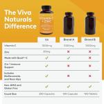 Viva Naturals Vitamin C and Zinc Supplement (250 Capsules) - 1000 mg Vitamin C with Zinc 20 mg Antioxidant Supplements for Immune Support, Vitamin Supplement for Adults