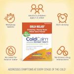 Boiron ColdCalm Tablets for Relief of Common Cold Symptoms Such as Sneezing, Runny Nose, Sore Throat, and Nasal Congestion - Non-Drowsy - 120 Count