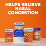 Zicam Cold Remedy Zinc RapidMelts, Elderberry Citrus Flavor, Homeopathic, Cold Shortening Medicine, Shortens Cold Duration, 25 Count
