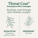 Traditional Medicinals Lozenges, Organic Throat Coat Lozenges, Eucalyptus Mint, Soothes Sore Throats & Relieves Coughs, 16 Individually Wrapped