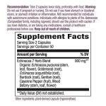 Nature's Way Echinacea Goldenseal Immune Support Capsules