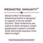 Nature's Way Echinacea Goldenseal Immune Support Capsules