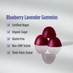 Nordic Naturals Magnesium Gummies for Adults, Blueberry Lavender Flavor - 60 Gummies - Vegan Magnesium Supplement for Mind, Mood, and Cardiovascular Support - Non-GMO - 20 Servings